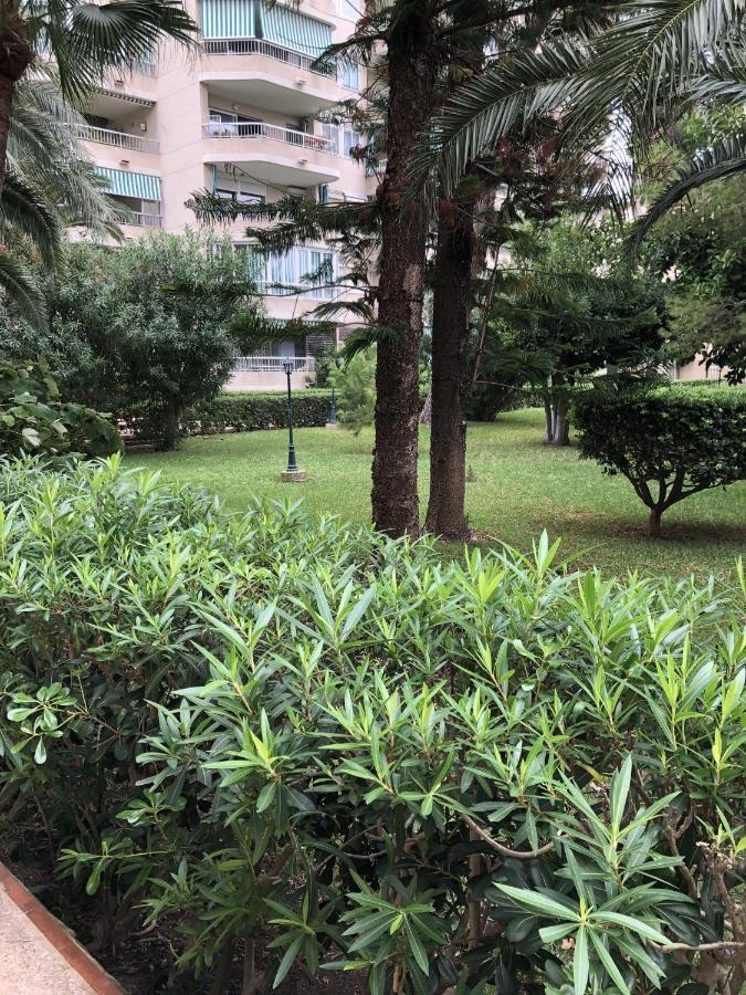 Apartamento Parque 2 Playa De Gandia エクステリア 写真